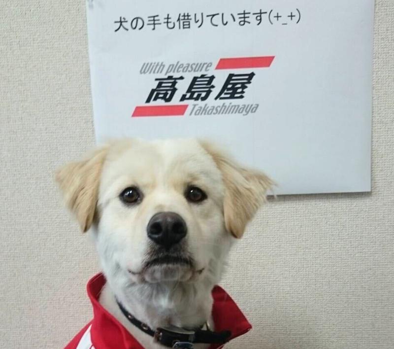 株式会社Withpleasure高島屋の求人・転職情報