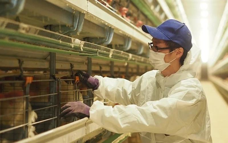 株式会社栗駒ポートリーの求人・転職情報