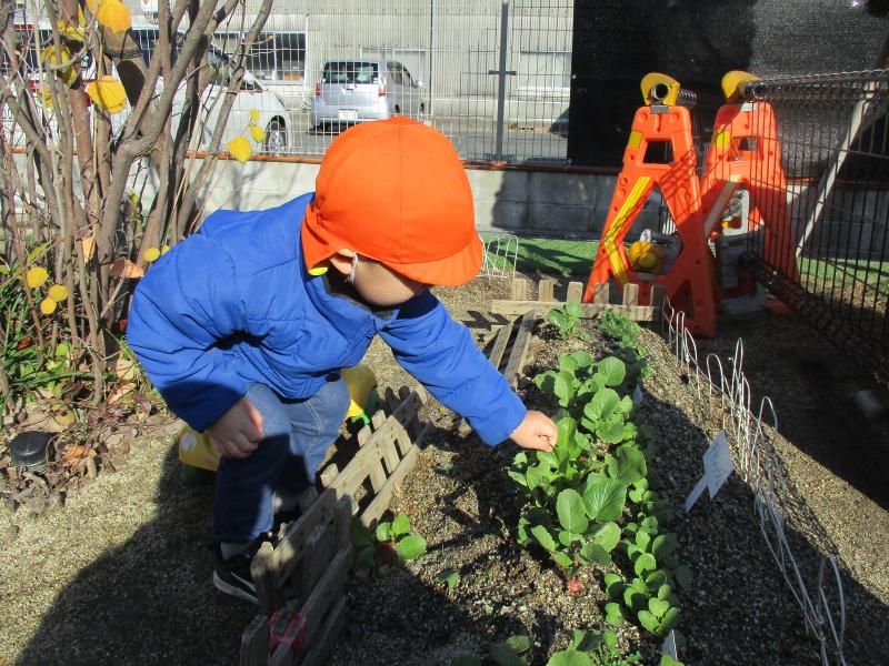 熊本市南区　幼保連携型認定こども園青いほしこども園のアルバイト・バイト求人情報-04