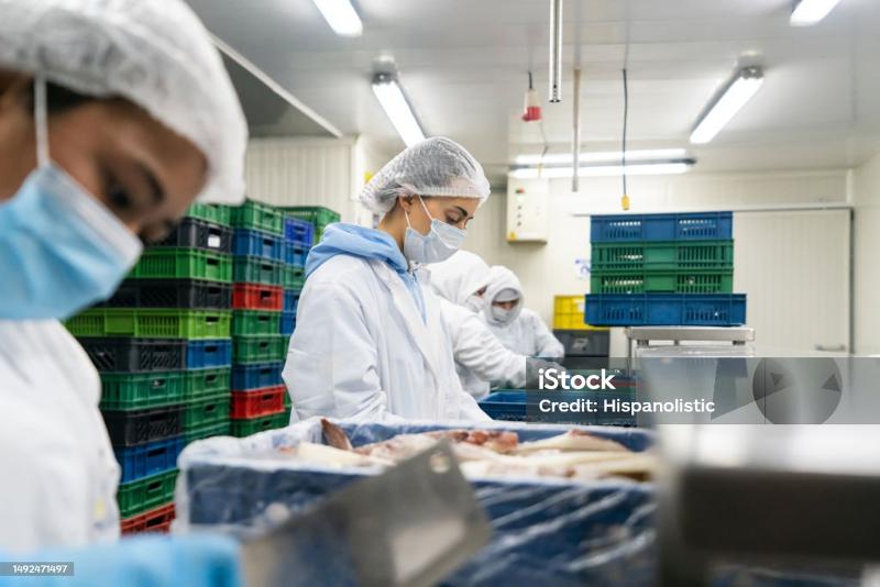 シノブフーズ株式会社の求人・転職情報