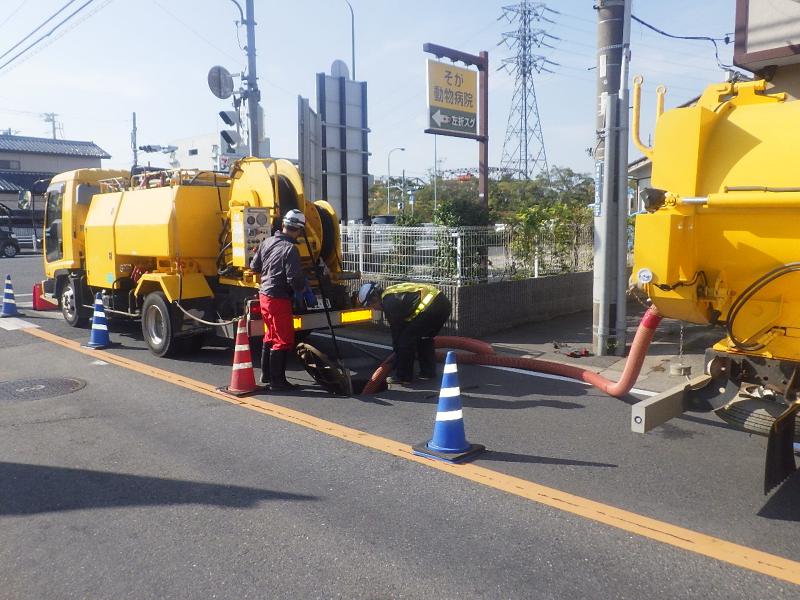 株式会社　シンセイの求人・転職情報