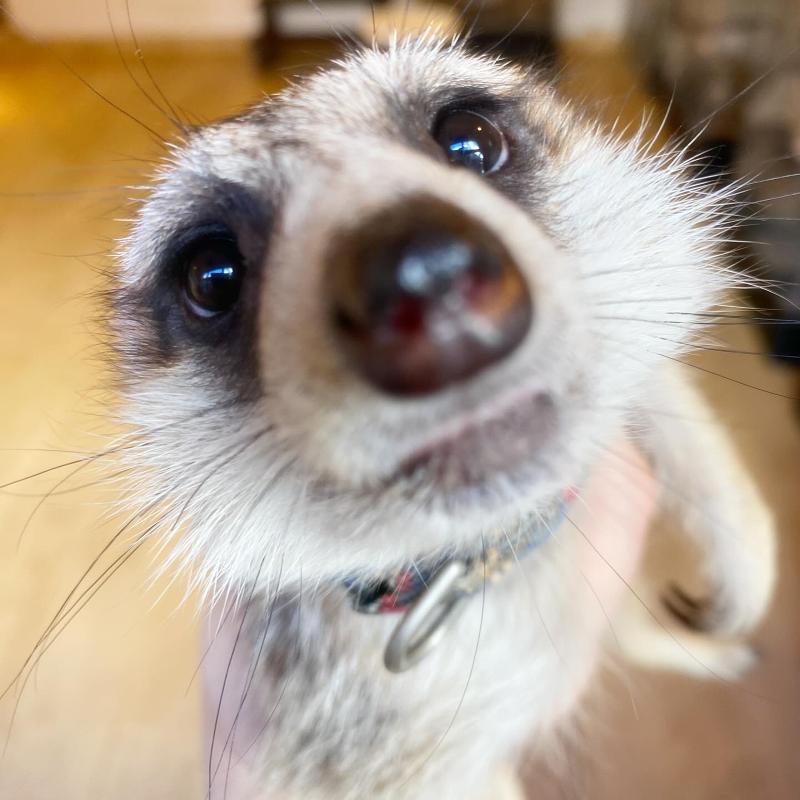 エストフォート株式会社のアルバイト・バイト求人情報-03