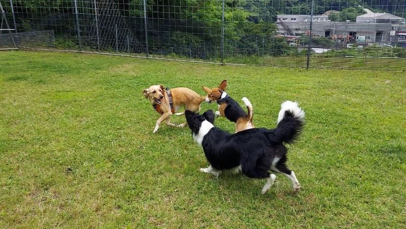 株式会社Dog’s　Japanのアルバイト・バイト求人情報-04