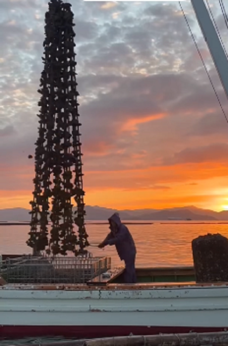 吉完水産のアルバイト・バイト求人情報-02