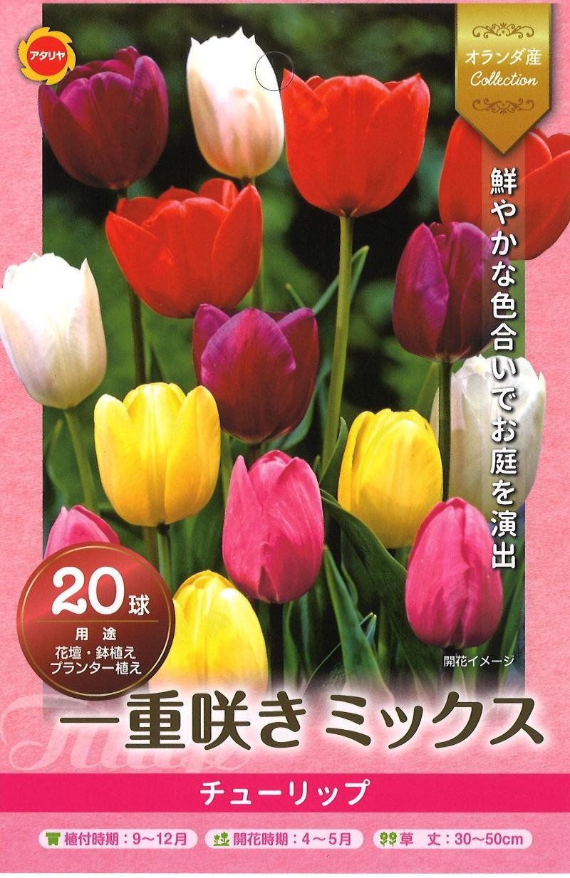 株式会社アタリヤ農園のアルバイト・バイト求人情報-05