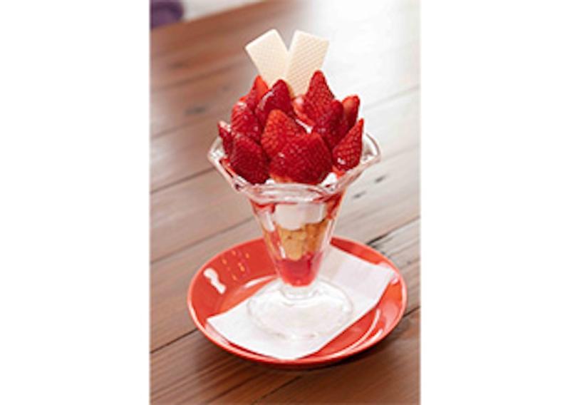 アンジェ・フレーゼ(株式会社いちごの里ファーム)のアルバイト・バイト求人情報-02