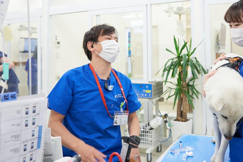 株式会社テリア-0006の求人・転職情報