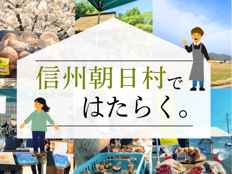 1UPきのこファクトリー