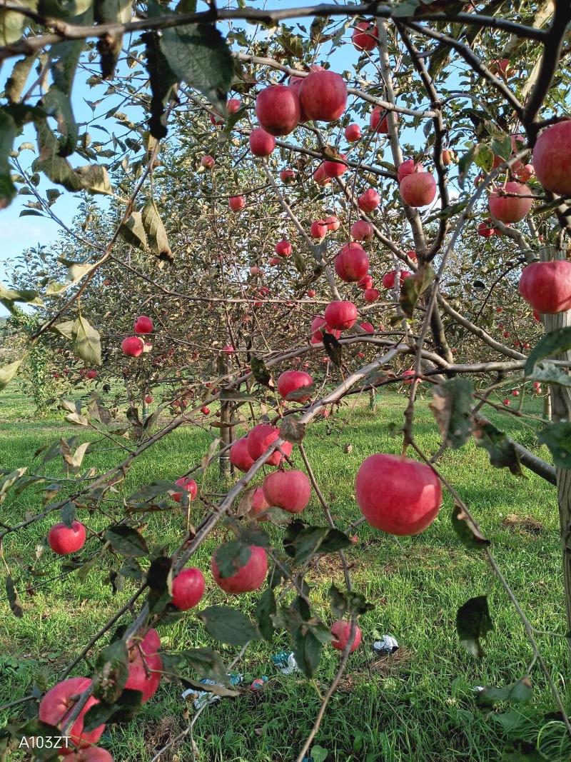 株式会社リベラのアルバイト・バイト求人情報-03