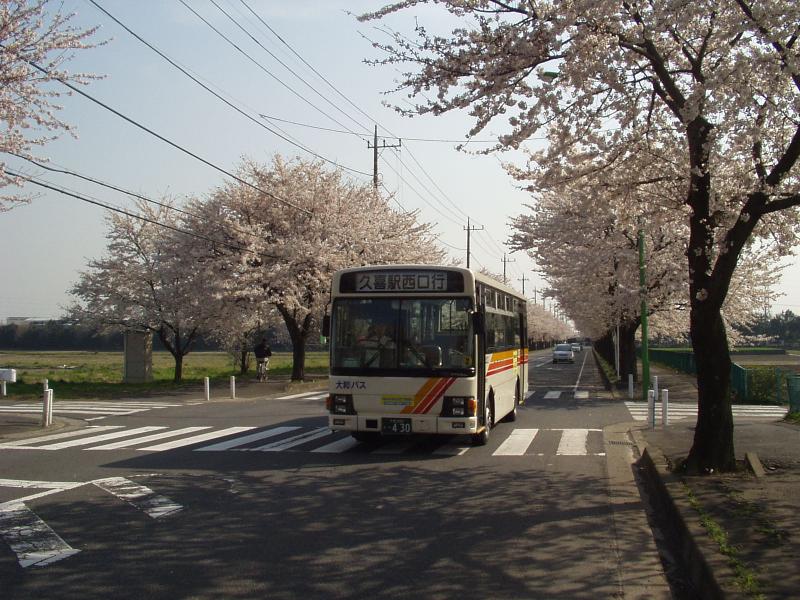 大和観光自動車株式会社の求人・転職情報