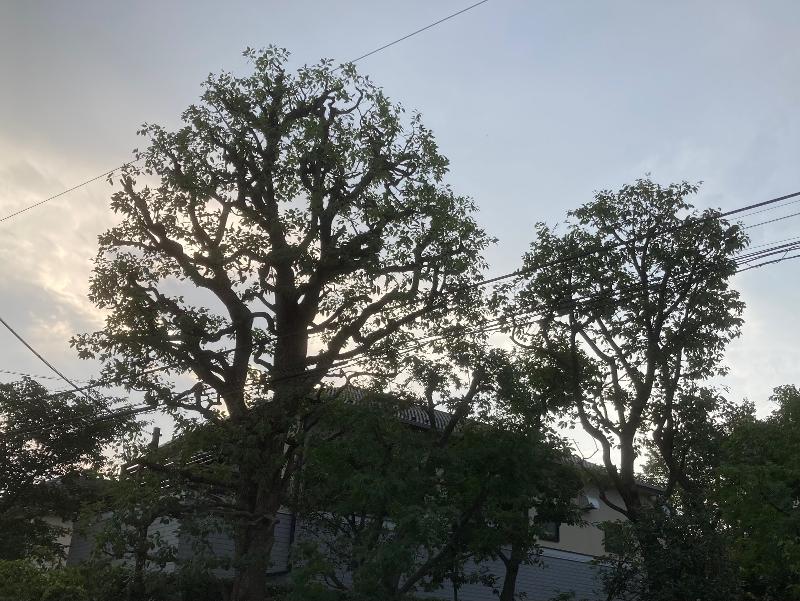 平林造園のアルバイト・バイト求人情報-04