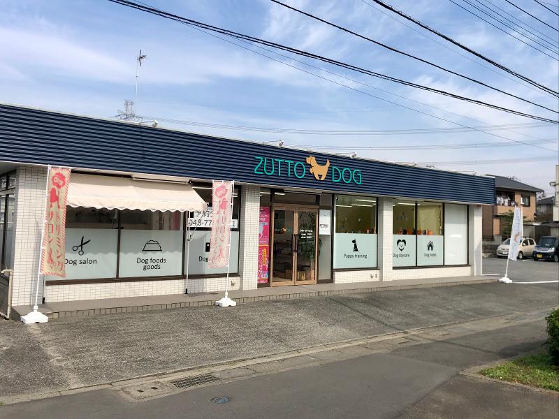 株式会社ZUTTOの求人・転職情報