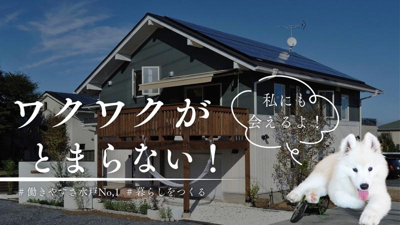 株式会社ハースの求人・転職情報