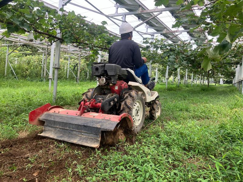 ブルースカイエナジー株式会社-0001の求人・転職情報