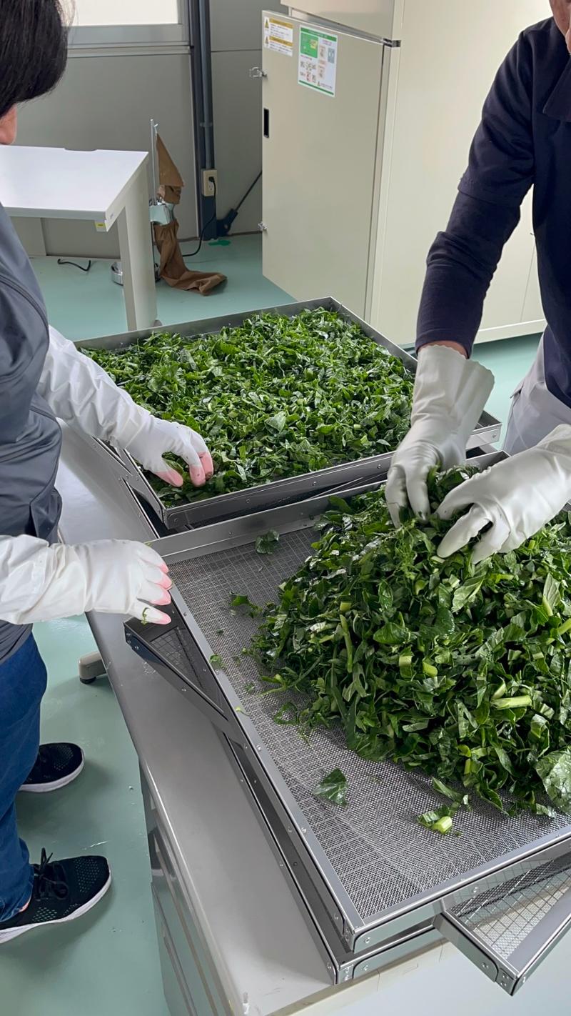 アントニーファーム株式会社のアルバイト・バイト求人情報-04