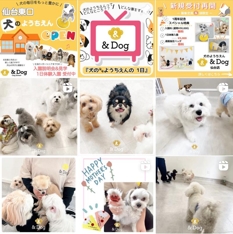 PawPark 徳島万代店のアルバイト・バイト求人情報-05