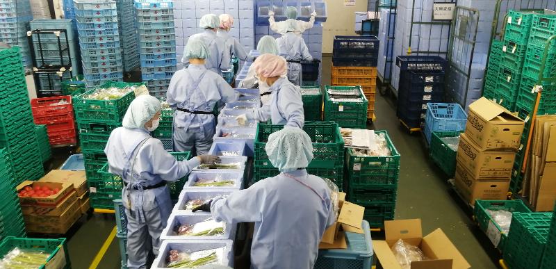 株式会社ヨシケイ北横浜 本社のアルバイト・バイト求人情報-02