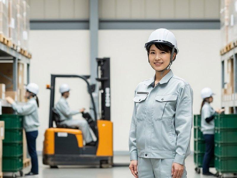 アレルヤ株式会社