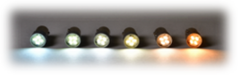 株式会社老舗ホールディングスの求人・転職情報