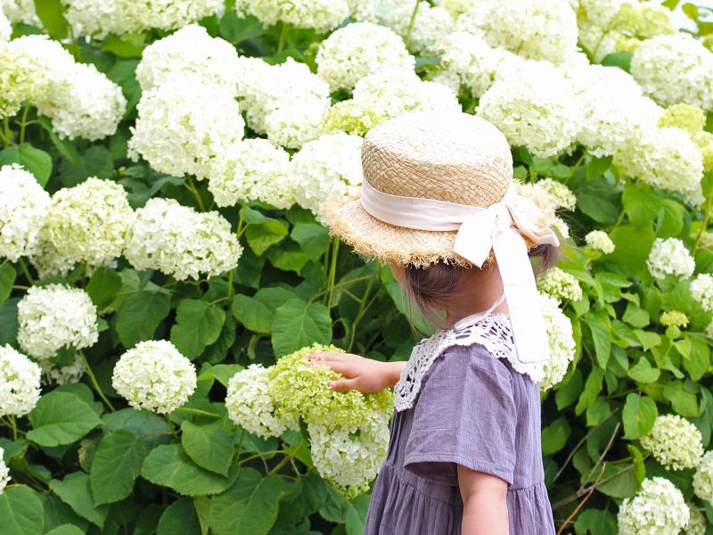 株式会社ICLのアルバイト・バイト求人情報-04