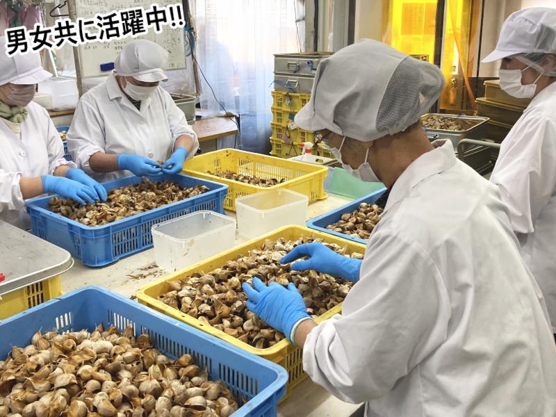 株式会社WANDの求人情報