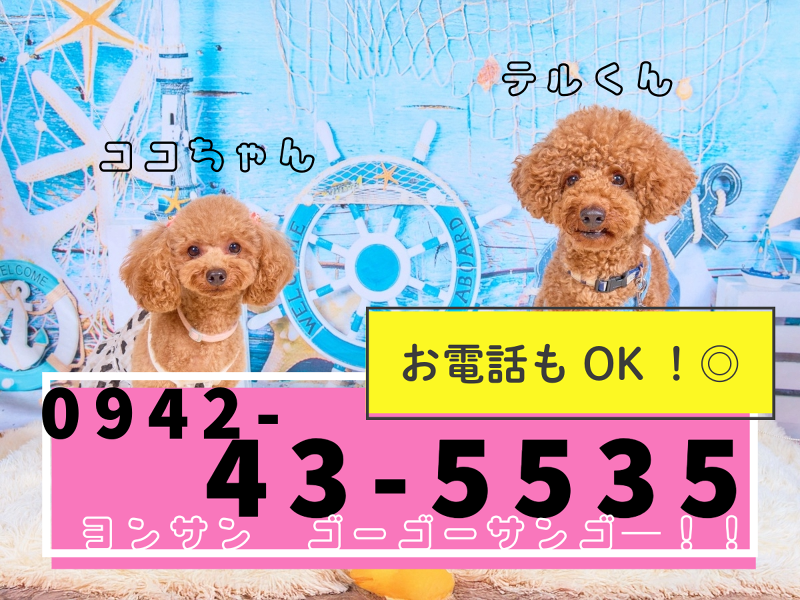 有限会社イー・エス・ケイの求人情報