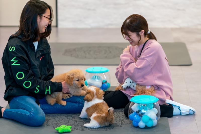 株式会社ANELLA Groupの求人・転職情報