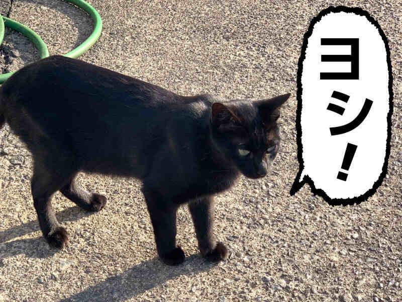 株式会社八神光の求人・転職情報