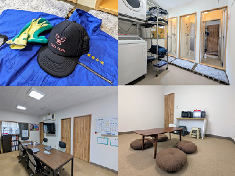 タローファーム株式会社の求人・転職情報