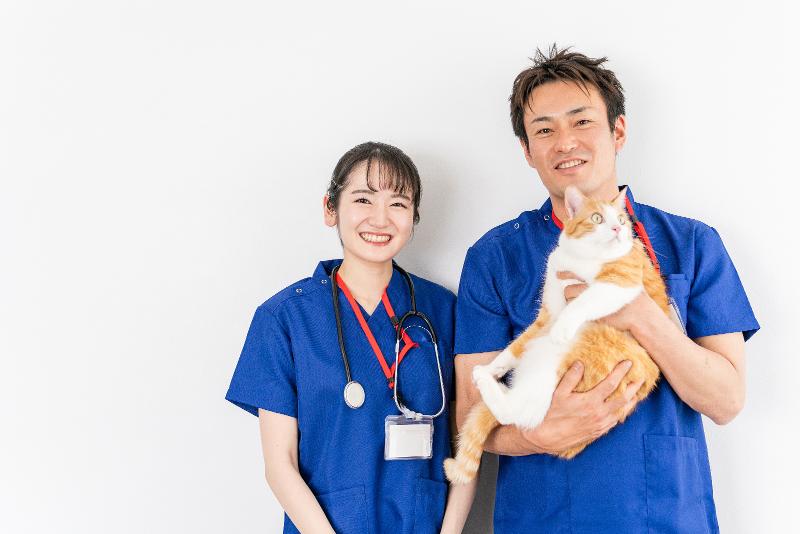 株式会社サンリキュール-0036の求人・転職情報