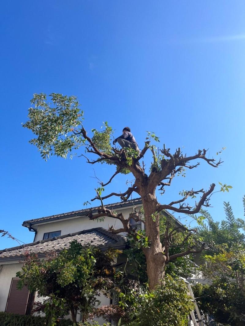 武匠クリーフ株式会社の求人・転職情報