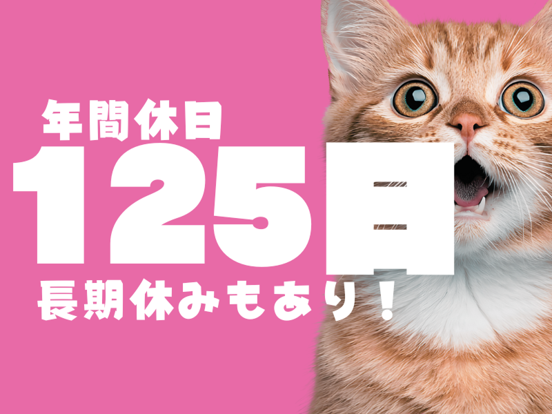 株式会社ワールドインテックのアルバイト・バイト求人情報-02