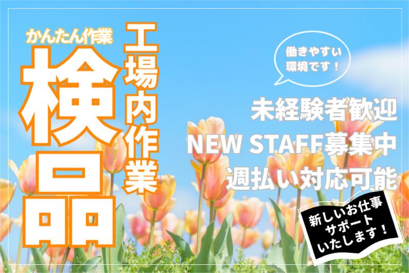 株式会社ライブエンタープライズ