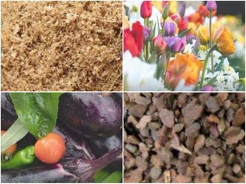 株式会社大石物産の求人・転職情報