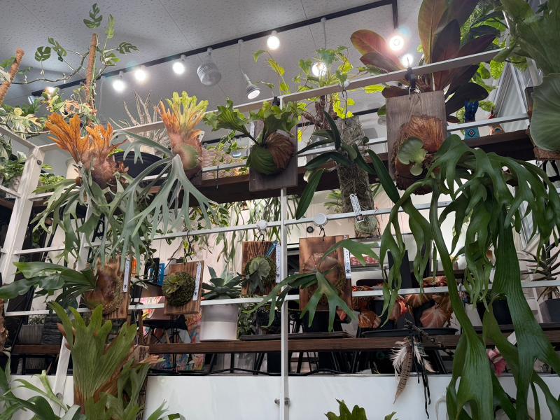 (株)アトランシードの求人・転職情報