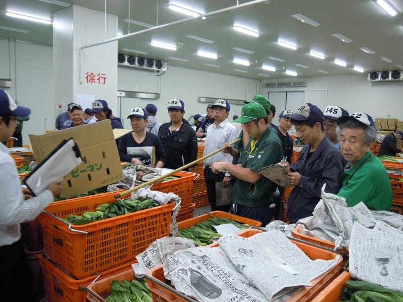 京印京都南部青果株式会社の求人・転職情報