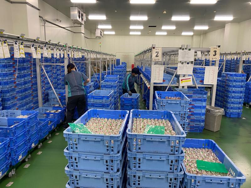 株式会社ジェイアール東日本物流のアルバイト・バイト求人情報-17