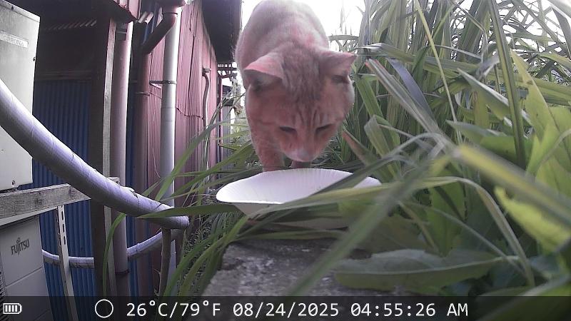 株式会社シジョウのアルバイト・バイト求人情報-03