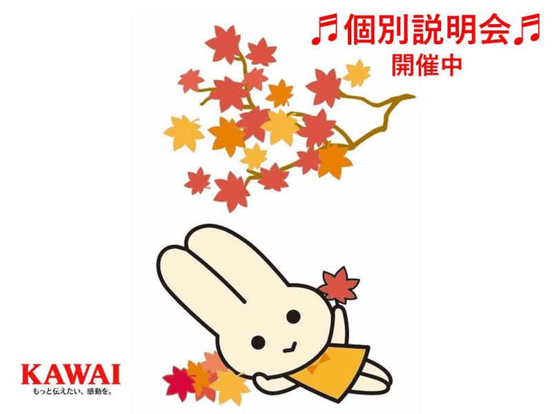 株式会社河合楽器製作所の求人・転職情報