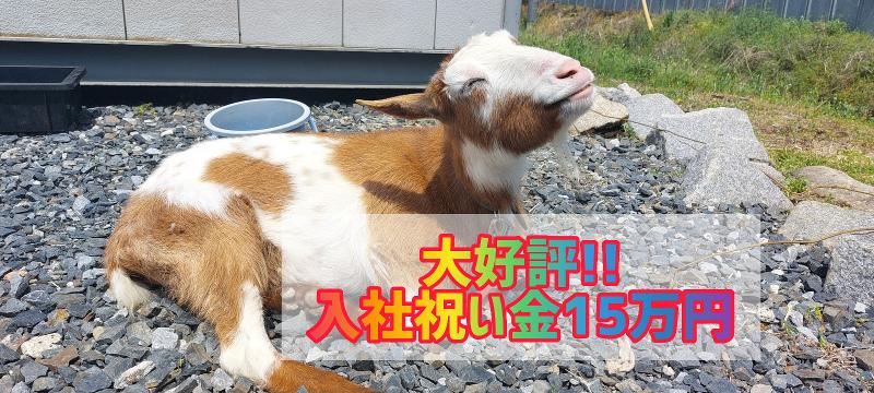 (有)深谷商事の求人・転職情報