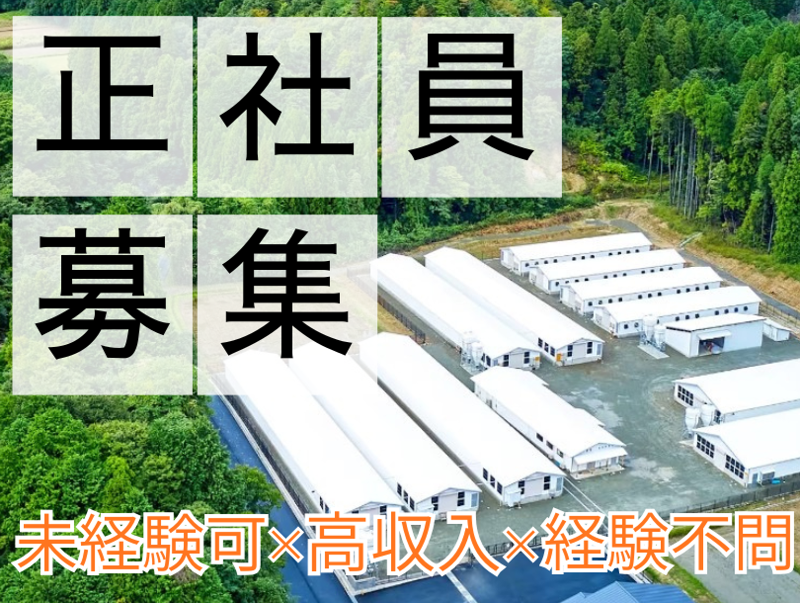 株式会社グッドワンの求人・転職情報