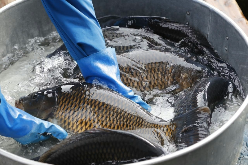 箱根本箱(株式会社自遊人)のアルバイト・バイト求人情報-04