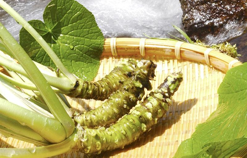 株式会社マル井のアルバイト・バイト求人情報-02