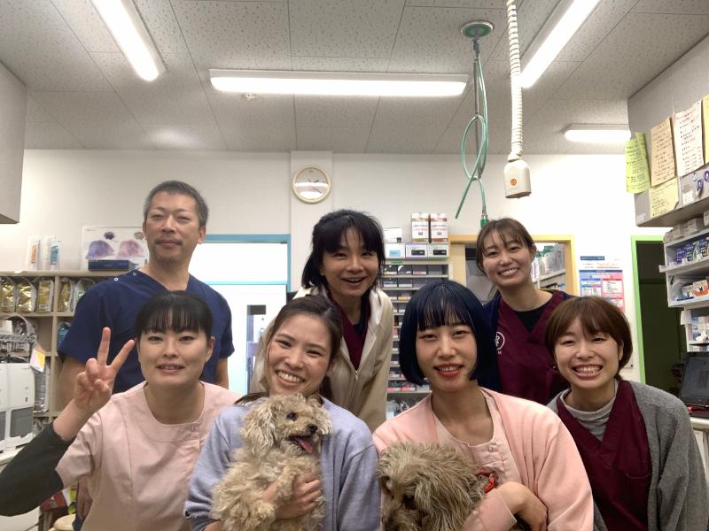 有限会社ひまわり動物病院の求人・転職情報