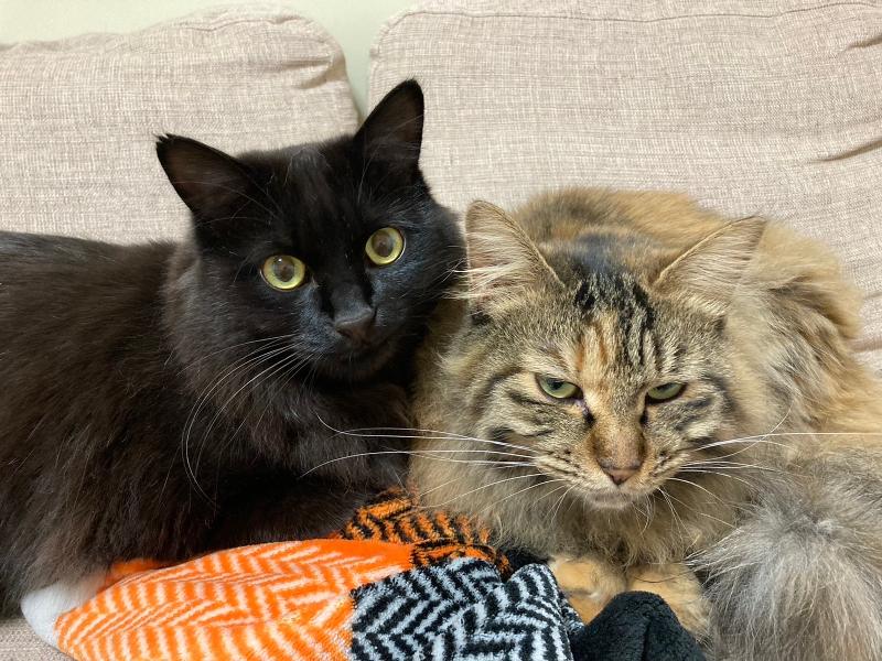 有限会社　ティナズダイニングのアルバイト・バイト求人情報-03