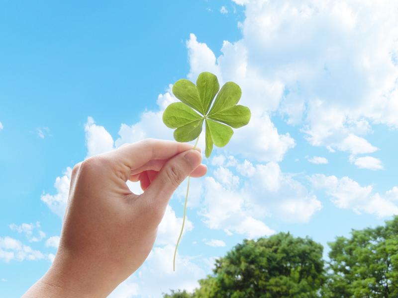 株式会社クローバーのアルバイト・バイト求人情報-03