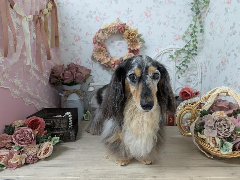 solun 株式会社京倭のアルバイト・バイト求人情報-04