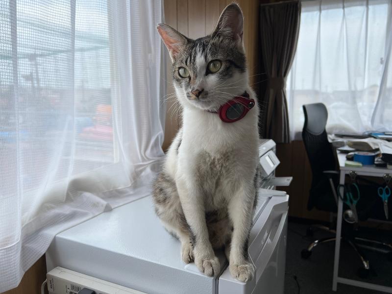 シーピーエムサービス株式会社の求人・転職情報