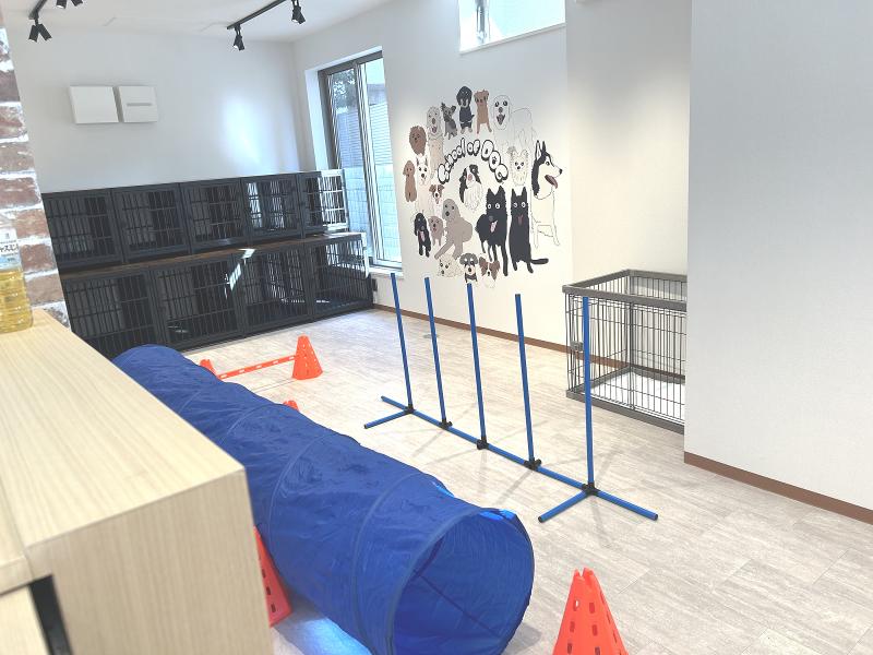 School of DOG 二子玉川店のアルバイト・バイト求人情報-05