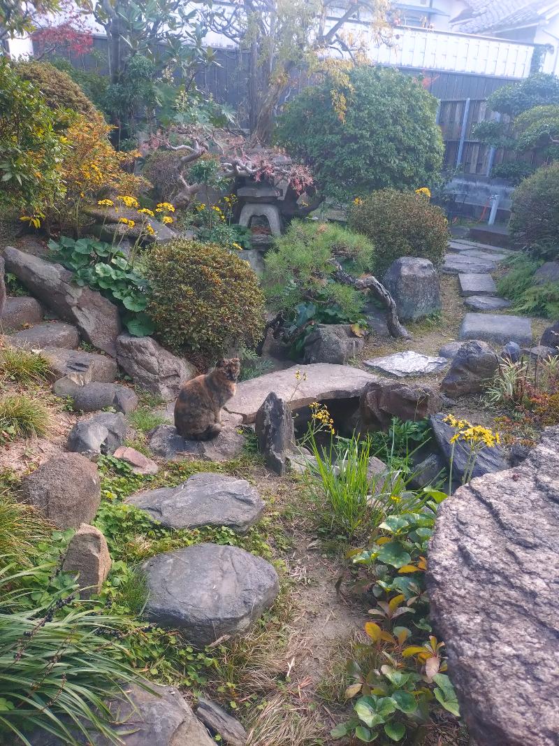 常衛門食堂のアルバイト・バイト求人情報-03